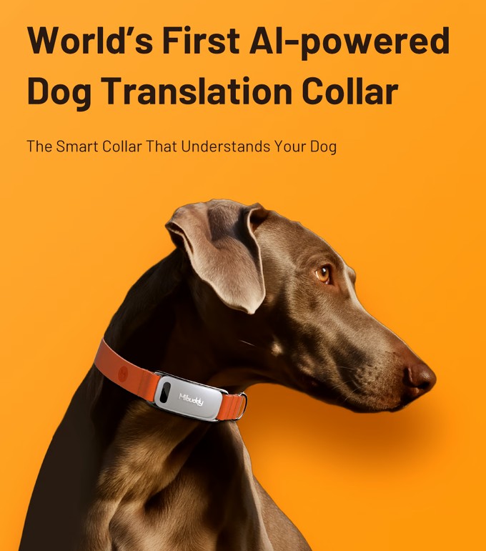 Mibuddy: das erste Übersetzungshalsband für Hunde mit künstlicher Intelligenz.
