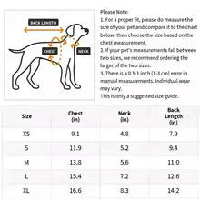 Abbigliamento caldo per gatti – Comodo maglione invernale per gattini