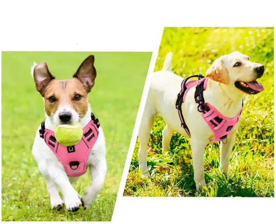 Imbracatura imbottita morbida per cani – Regolabile con maniglia di controllo