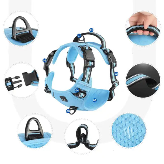 Imbracatura imbottita morbida per cani – Regolabile con maniglia di controllo