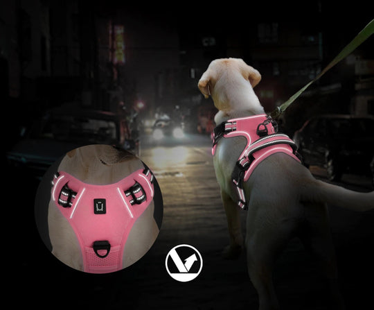 Imbracatura imbottita morbida per cani – Regolabile con maniglia di controllo